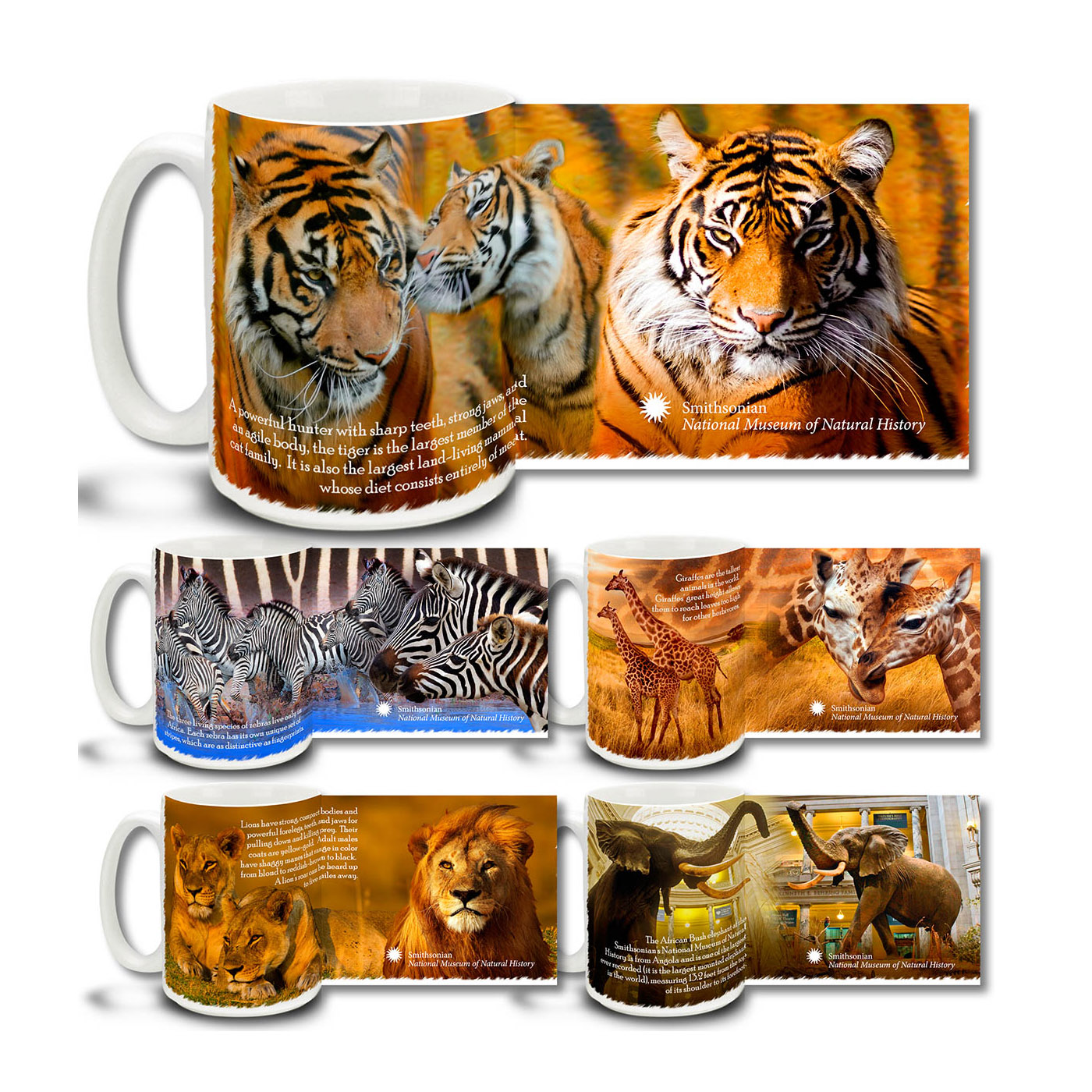 Graphic Design Layouts for Smithsonian Natural History Museum Coffee Mugs